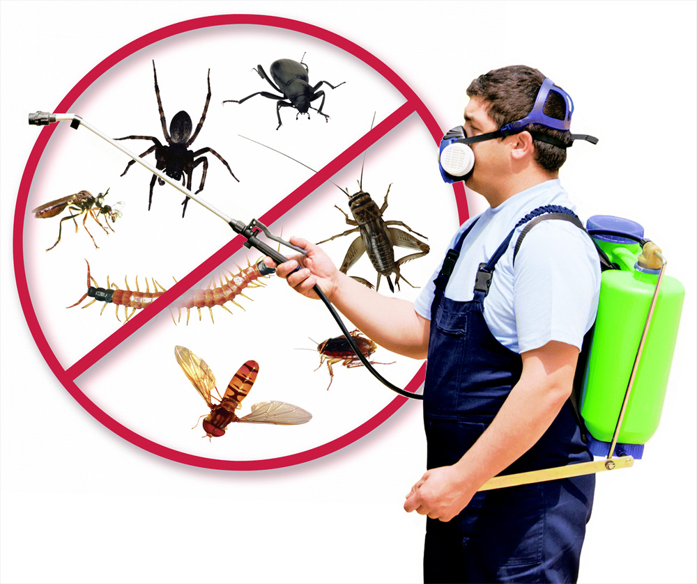 Ogden Utah Pest Control